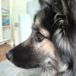 Meet your Posher, Liz